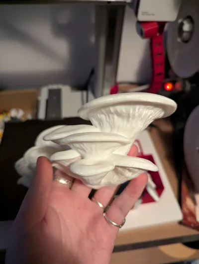 https://makerworld.bblmw.com/makerworld/model/1440944/1499797/ratings/a765d200-ae75-11f0-b951-b3262ceaa635.jpg