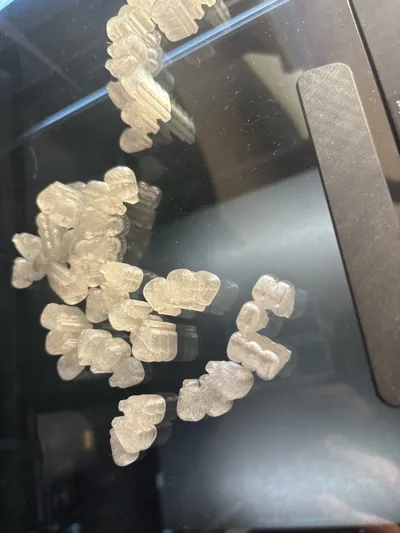 https://makerworld.bblmw.com/makerworld/model/1441662/1500571/ratings/7c81da40-3bf0-11f0-8782-69b0a7869df5.jpg