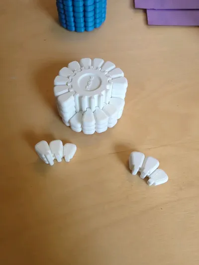https://makerworld.bblmw.com/makerworld/model/1441662/1525580/ratings/ec520a20-5cde-11f0-a011-f302a0d78477.jpg