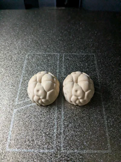 https://makerworld.bblmw.com/makerworld/model/1441896/1500898/ratings/16f85bb0-4ad5-11f0-afc3-39082e6983f6.jpg
