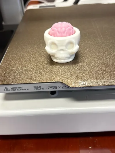 https://makerworld.bblmw.com/makerworld/model/1441896/1500898/ratings/7770dc30-917d-11f0-9921-73c3cf787f7c.jpg