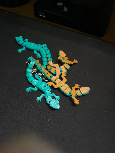 https://makerworld.bblmw.com/makerworld/model/1442622/1501758/ratings/15ca1dc0-b4f5-11f0-93ca-776341d4980f.jpg