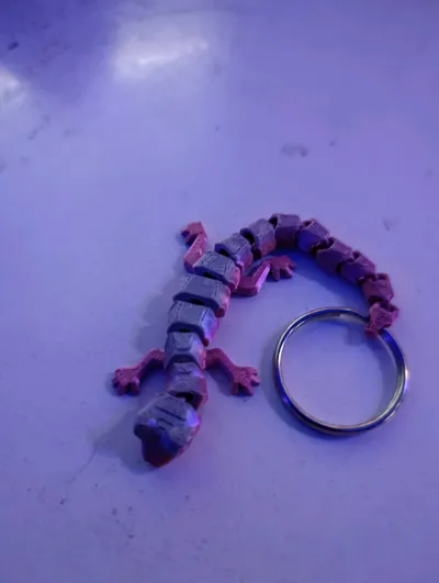 https://makerworld.bblmw.com/makerworld/model/1442622/1501758/ratings/d2b84d20-8c88-11f0-a74e-05a56b48f1e9.jpg