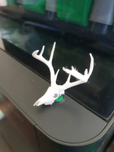 https://makerworld.bblmw.com/makerworld/model/1443574/1502912/ratings/5f061de0-4597-11f0-8cb7-dbbe7e7fb622.jpg