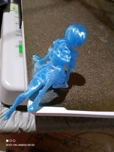 https://makerworld.bblmw.com/makerworld/model/1444038/1503445/ratings/9a8cd520-c774-11f0-9e22-699de2c4ecd5.jpg