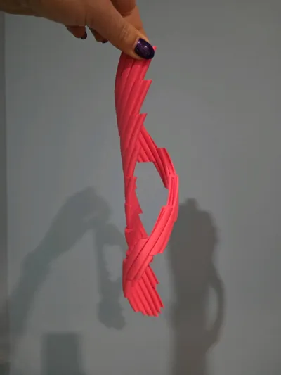 https://makerworld.bblmw.com/makerworld/model/1444526/1849034/ratings/a0878390-ccc3-11f0-9839-d1ec1111b00d.jpg