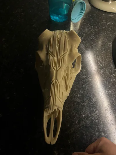https://makerworld.bblmw.com/makerworld/model/1444620/1504133/ratings/f8907cd0-ea74-11f0-a280-052be236f30c.jpg