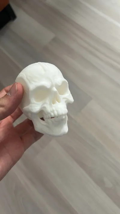 https://makerworld.bblmw.com/makerworld/model/1445151/1504750/ratings/1e1e2540-3bef-11f0-b22c-715bbbc53a01.jpg