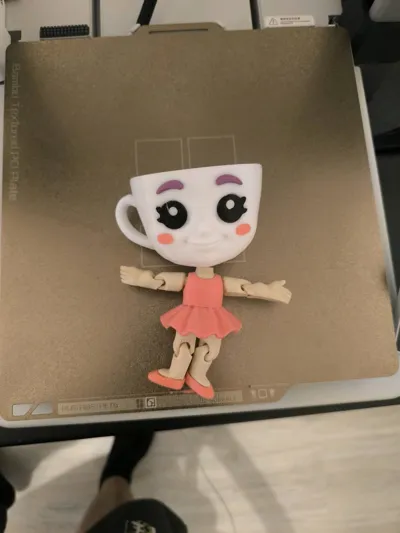https://makerworld.bblmw.com/makerworld/model/1446829/1511038/ratings/0ce36f40-7d9b-11f0-b404-e5d7ff8055de.jpg
