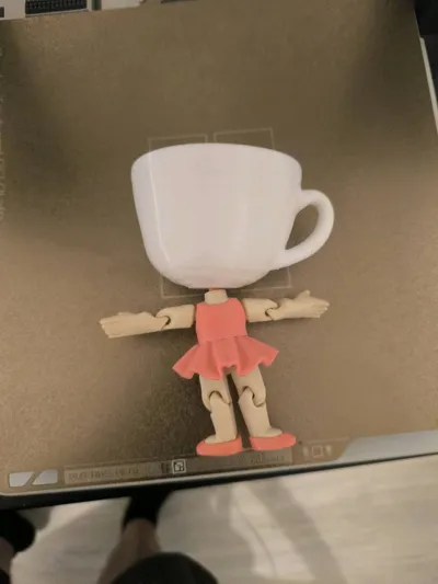 https://makerworld.bblmw.com/makerworld/model/1446829/1511038/ratings/0ce56b10-7d9b-11f0-b404-e5d7ff8055de.jpg