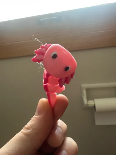https://makerworld.bblmw.com/makerworld/model/1446934/1506848/ratings/f4cd41e0-e985-11f0-b2fd-89105b2a9355.jpg