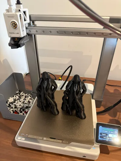 https://makerworld.bblmw.com/makerworld/model/1448240/1508334/ratings/aaa61810-49dc-11f0-bba4-6dd6321540c8.jpg