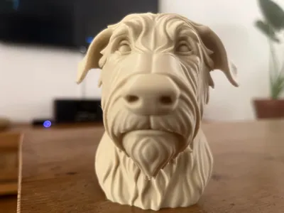 https://makerworld.bblmw.com/makerworld/model/1449508/1509839/ratings/05db8250-3a4d-11f0-917a-cfc617fc1e59.jpg