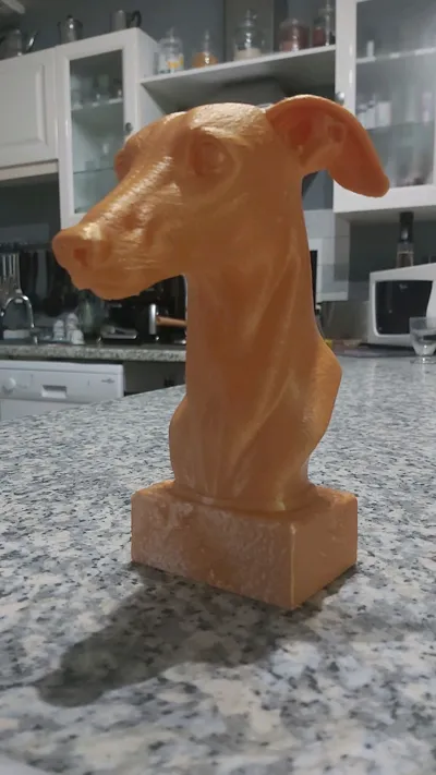 https://makerworld.bblmw.com/makerworld/model/1449544/1510041/ratings/9b5186c0-564c-11f0-ac88-6974ed421b5d.jpg