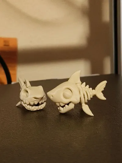 https://makerworld.bblmw.com/makerworld/model/1449918/1510264/ratings/c20e9170-4aeb-11f0-a60b-69b5c177adc6.jpg