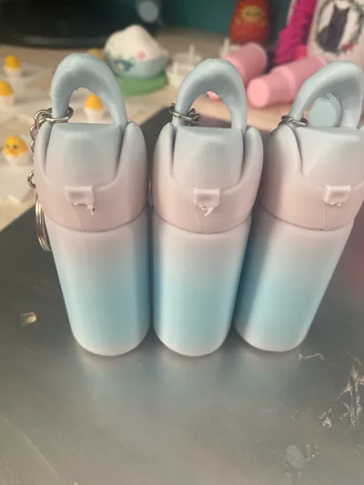 https://makerworld.bblmw.com/makerworld/model/1451161/1511666/ratings/b2cb9440-7784-11f0-a173-41d3d0307019.jpg