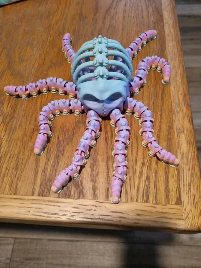 https://makerworld.bblmw.com/makerworld/model/1451370/1511941/ratings/9920bbe0-ce20-11f0-a298-8501266780c4.jpg