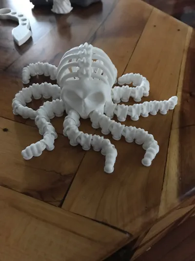 https://makerworld.bblmw.com/makerworld/model/1451370/1511941/ratings/ac221de0-7edb-11f0-ad95-6f2f93bed73f.jpg