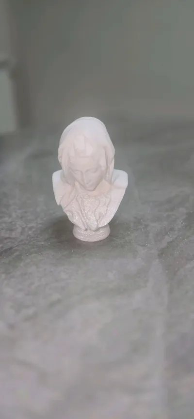 https://makerworld.bblmw.com/makerworld/model/145150/157891/ratings/f43edfe0-8b93-11f0-b966-9b1b81df0de7.jpg