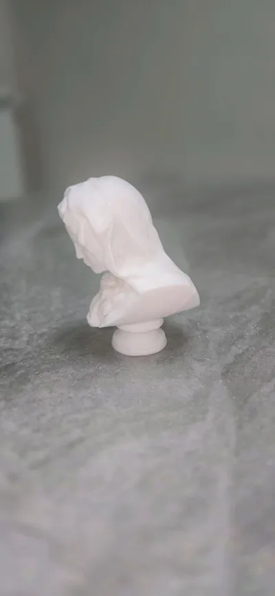 https://makerworld.bblmw.com/makerworld/model/145150/157891/ratings/f44a5190-8b93-11f0-b966-9b1b81df0de7.jpg