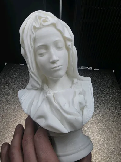 https://makerworld.bblmw.com/makerworld/model/145150/157899/ratings/6d71ed10-e9c4-11f0-8759-e99ec9fcd33a.jpg
