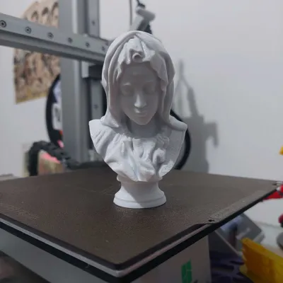 https://makerworld.bblmw.com/makerworld/model/145150/335342/ratings/ce874880-9a7c-11f0-824a-1d1c0c36e941.jpg