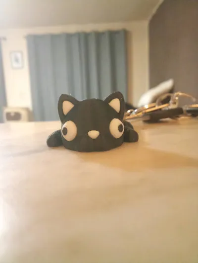 https://makerworld.bblmw.com/makerworld/model/1452423/1513284/ratings/760ca2e0-e5e0-11f0-aafa-2bd0cdd96b94.jpg