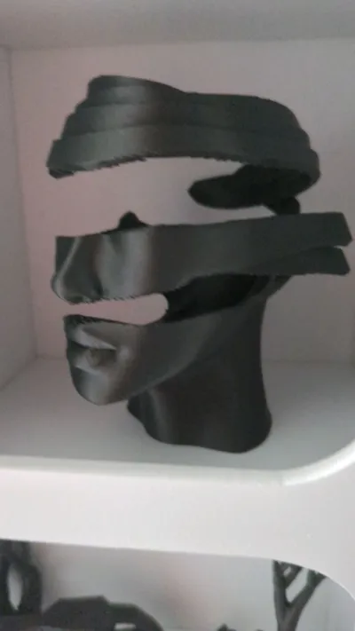 https://makerworld.bblmw.com/makerworld/model/1455389/1518250/ratings/99bea790-5424-11f0-8392-75ceb7b1cf2c.jpg