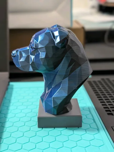 https://makerworld.bblmw.com/makerworld/model/1455730/1517176/ratings/096a7ac0-c16b-11f0-b304-2bd117a18b9a.jpg