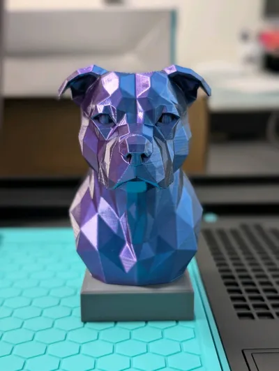 https://makerworld.bblmw.com/makerworld/model/1455730/1517176/ratings/097920c0-c16b-11f0-b304-2bd117a18b9a.jpg