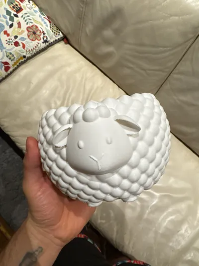 https://makerworld.bblmw.com/makerworld/model/1456190/1784839/ratings/60a4ae10-8f56-11f0-a2ae-c38668c18711.jpg