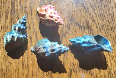 https://makerworld.bblmw.com/makerworld/model/1456262/1517803/ratings/24bc4c70-9d50-11f0-9dc2-c3fc9d5e4159.jpg