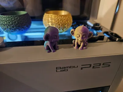 https://makerworld.bblmw.com/makerworld/model/1457105/1518782/ratings/40799910-bdb0-11f0-95be-af7908a1176f.jpg