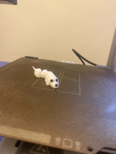https://makerworld.bblmw.com/makerworld/model/1457718/1519483/ratings/cfcb6280-bc00-11f0-b437-73b927552b5a.jpg