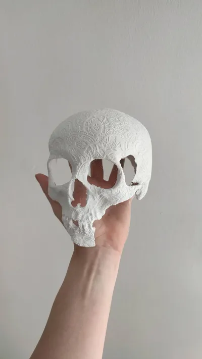 https://makerworld.bblmw.com/makerworld/model/145832/239305/ratings/aee0b3d0-34fc-11f0-8eb9-e79761387636.jpg