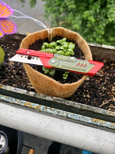 https://makerworld.bblmw.com/makerworld/model/1459128/1521206/ratings/aecea4f0-3bab-11f0-8714-1fa57244fa67.jpg
