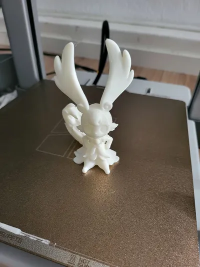 https://makerworld.bblmw.com/makerworld/model/1461116/1523493/ratings/76d034d0-b7dc-11f0-9190-97029adf0ea8.jpg