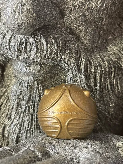 https://makerworld.bblmw.com/makerworld/model/1462004/1524537/ratings/cdee1220-430e-11f0-891e-c139270def6e.jpg