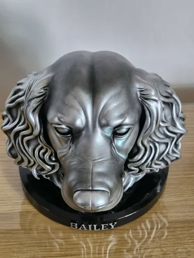 https://makerworld.bblmw.com/makerworld/model/1463035/1525764/ratings/44312ad0-4d0a-11f0-b769-ef15eb48d350.jpg