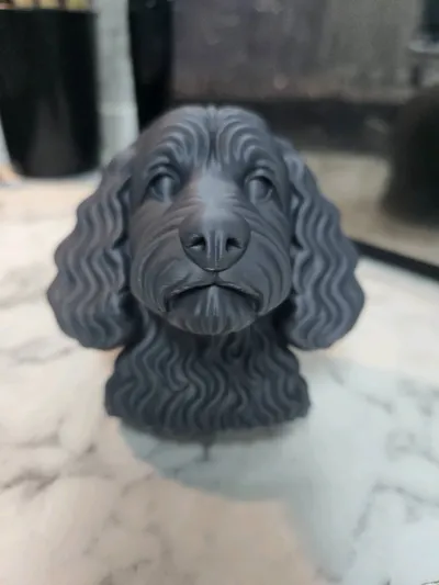 https://makerworld.bblmw.com/makerworld/model/1463207/1525986/ratings/b4f85c60-e24d-11f0-923f-65c5f73533df.jpg