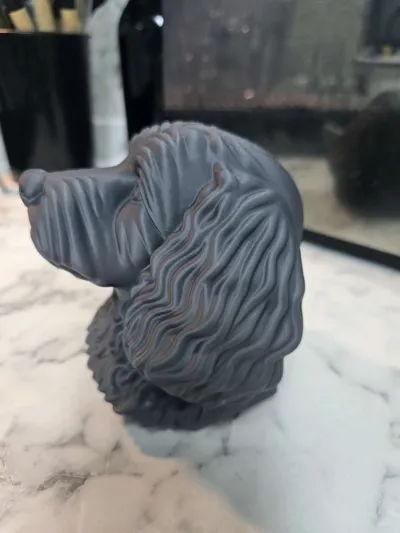 https://makerworld.bblmw.com/makerworld/model/1463207/1525986/ratings/b4ffd670-e24d-11f0-923f-65c5f73533df.jpg