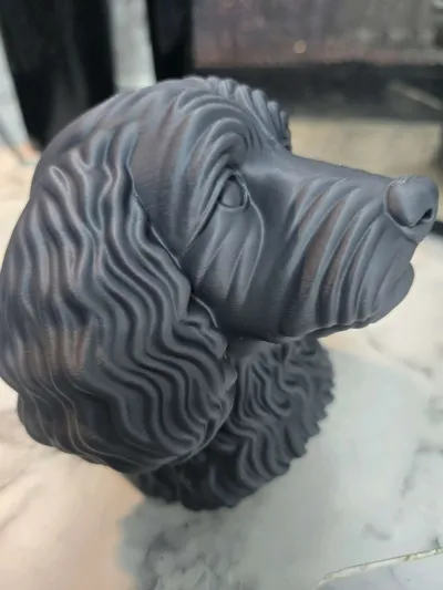 https://makerworld.bblmw.com/makerworld/model/1463207/1525986/ratings/b5026e80-e24d-11f0-923f-65c5f73533df.jpg
