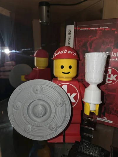 https://makerworld.bblmw.com/makerworld/model/1463411/1526234/ratings/c425e0a0-f3cc-11f0-a11b-3bc37ed0c9e5.jpg