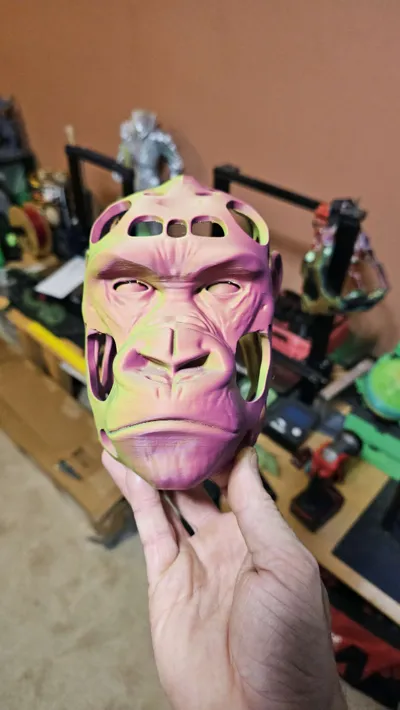 https://makerworld.bblmw.com/makerworld/model/1463722/1526641/ratings/10666240-4726-11f0-91ee-07fc5f3a6b8c.jpg