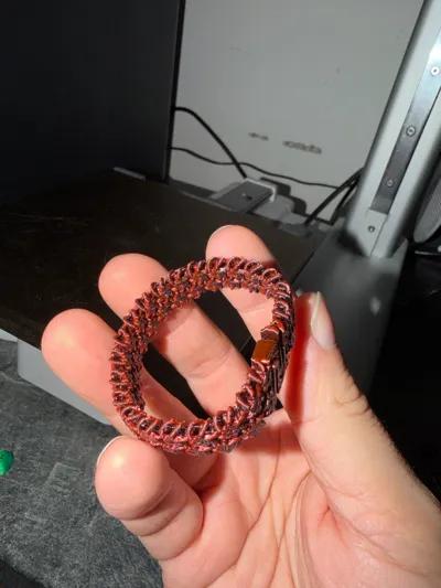 https://makerworld.bblmw.com/makerworld/model/1463835/1528549/ratings/948a5b20-ce31-11f0-969f-53dc3edb264d.jpg