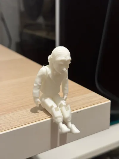 https://makerworld.bblmw.com/makerworld/model/1464840/1527905/ratings/170f1690-68a6-11f0-92fd-6104e9f88d2d.jpg