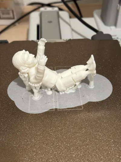 https://makerworld.bblmw.com/makerworld/model/1464840/1527905/ratings/171c5d00-68a6-11f0-92fd-6104e9f88d2d.jpg