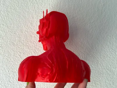 https://makerworld.bblmw.com/makerworld/model/1465294/1528471/ratings/62dcb080-8973-11f0-9df4-17665a21e8e5.jpg