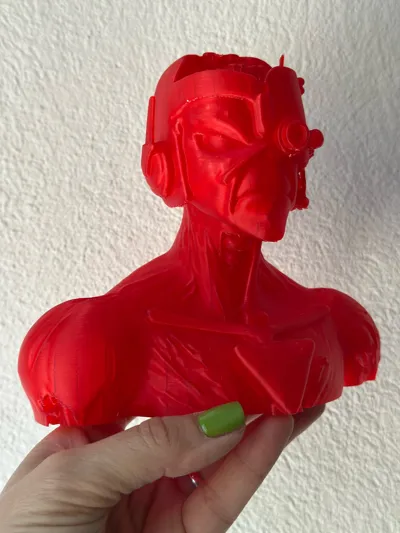 https://makerworld.bblmw.com/makerworld/model/1465294/1528471/ratings/62e82230-8973-11f0-9df4-17665a21e8e5.jpg
