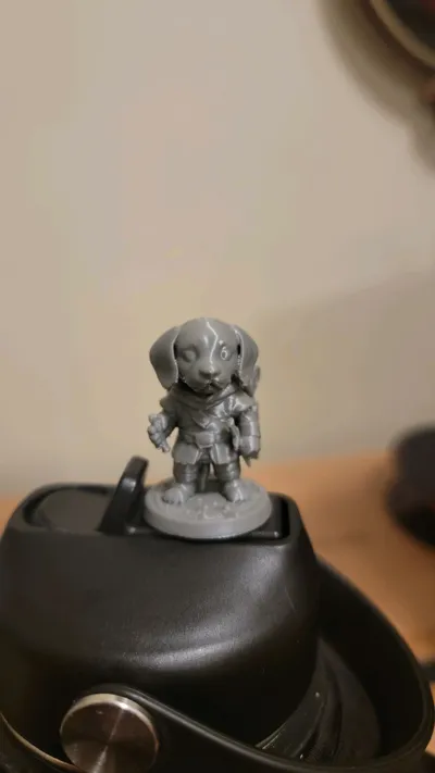 https://makerworld.bblmw.com/makerworld/model/1465297/1528696/ratings/fd42ede0-9eb0-11f0-9c4c-5f25fedacf39.jpg
